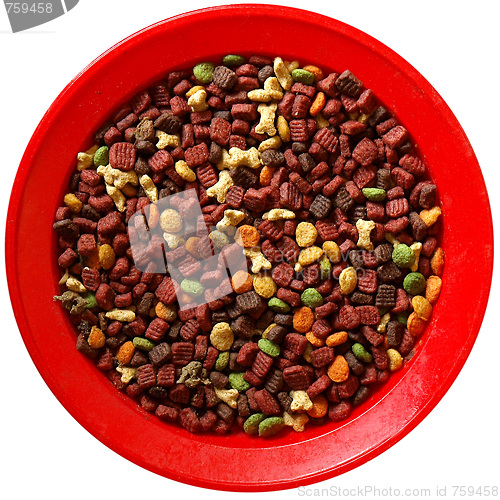 Image of Cat food dish