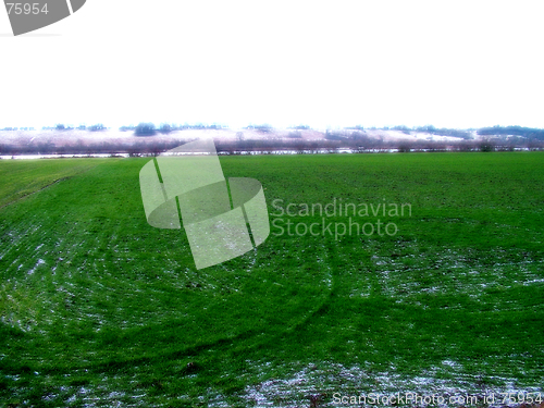 Image of Romantic field