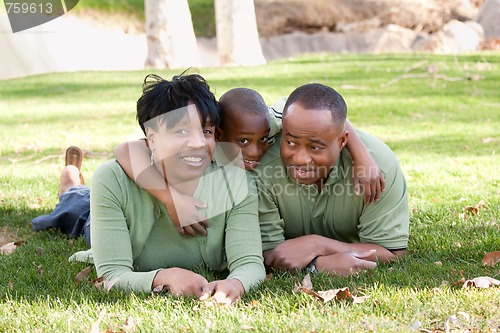 Image of African American Family in the Park