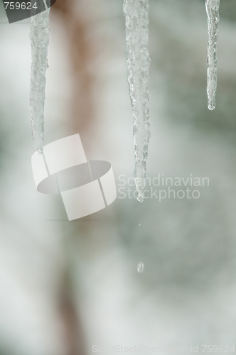 Image of Dripping icicle
