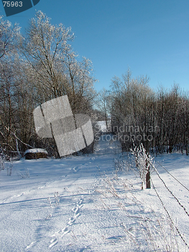 Image of Farmland In Winter