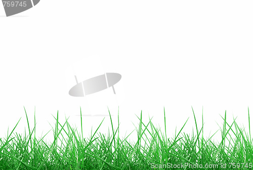 Image of Meadow