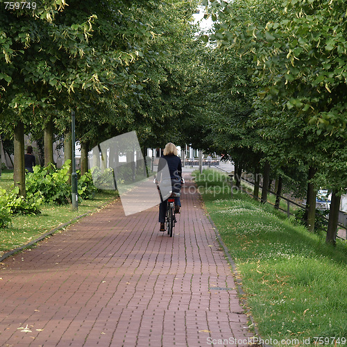 Image of Bike lane