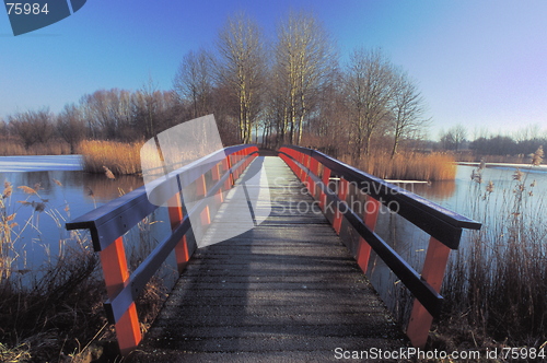 Image of Wooden Bridge