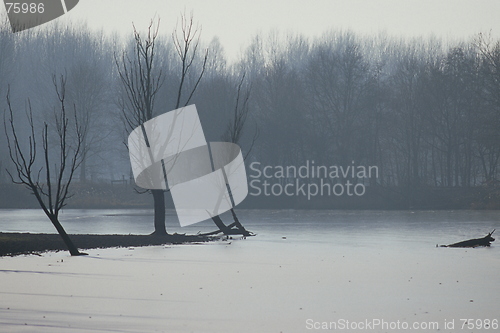 Image of Winter Landscape