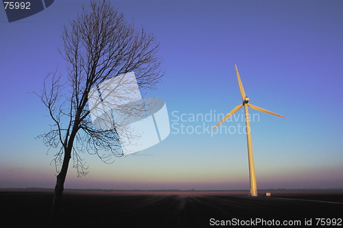 Image of Wind Turbine and Tree