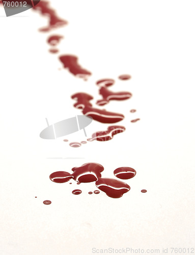 Image of blood trail