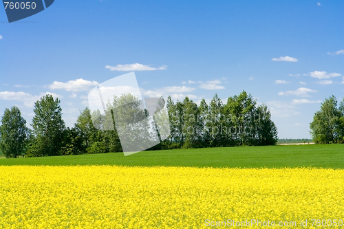 Image of spring landscape