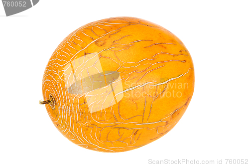 Image of melon