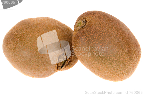 Image of kiwi