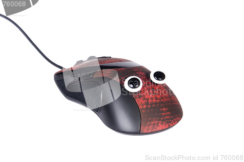 Image of mouse
