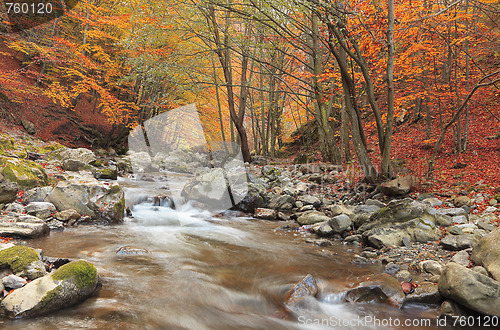 Image of Autumn river