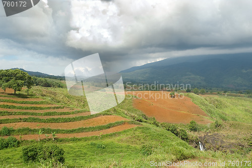 Image of Tropical agriculture landscape