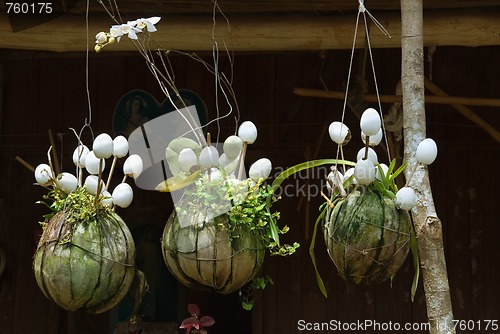 Image of Hanging Asian houseplants