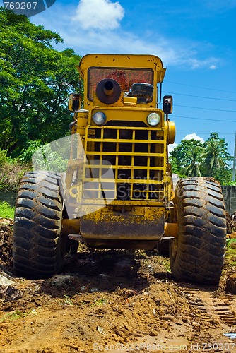 Image of Tropical earthmover