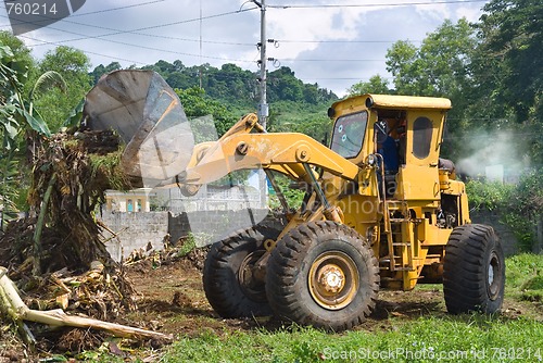 Image of Bulldozer clearing bush