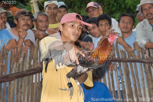 Image of Filipino cock fighter