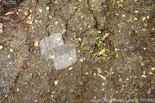 Image of old asphalt