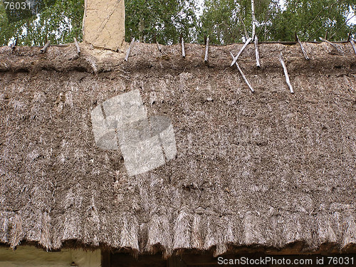 Image of Straw roof texture