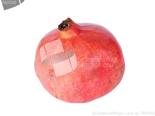 Image of Pomegranate