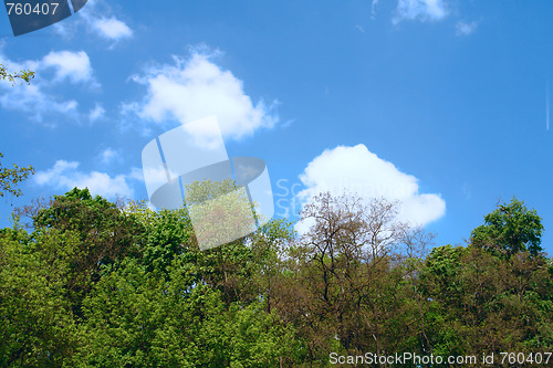 Image of spring sky 