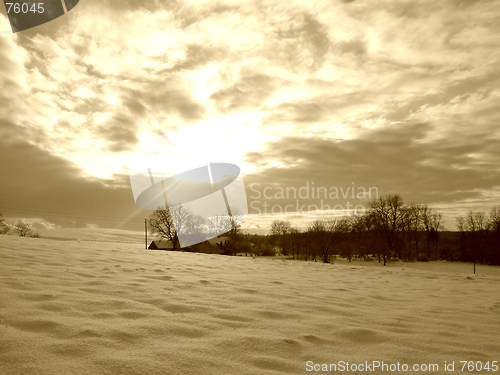 Image of Winter field