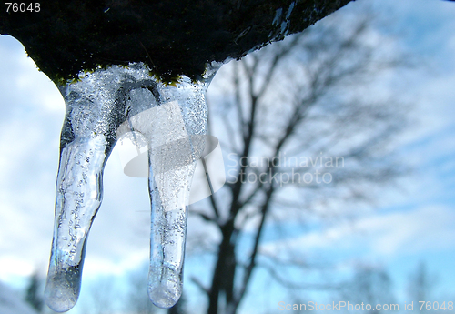 Image of Icicle