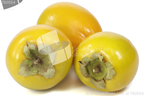 Image of Japanese persimmon