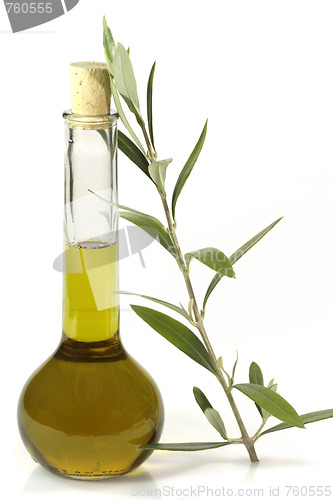 Image of Olive oil with olive branch
