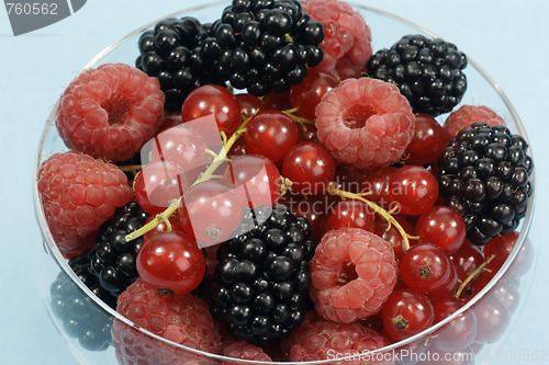 Image of Berries