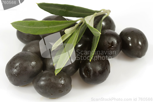 Image of Black olives with olive branch