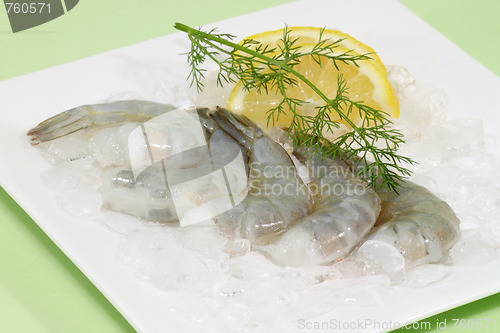Image of Uncooked shrimps