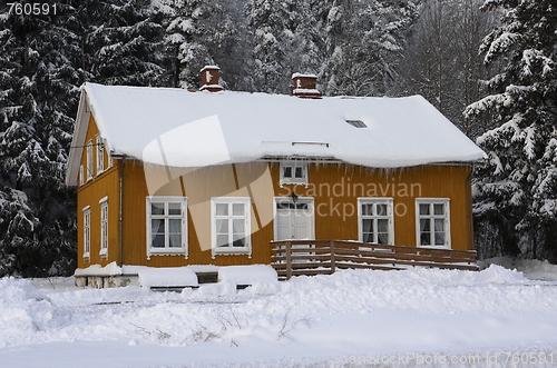 Image of Yellow house in the forest