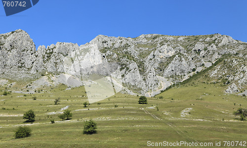 Image of Trascau Mountains