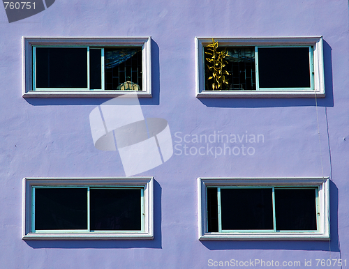 Image of Windows on the purple wall.