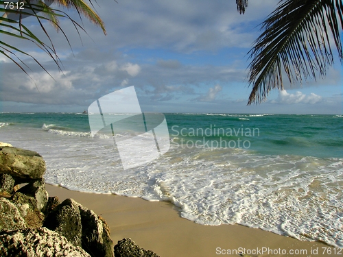 Image of tropical beach