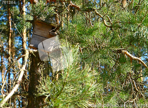 Image of birdhouse