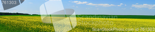 Image of spring landscape