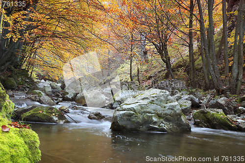 Image of Autumn river