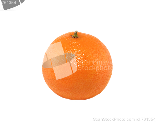 Image of Single tangerine