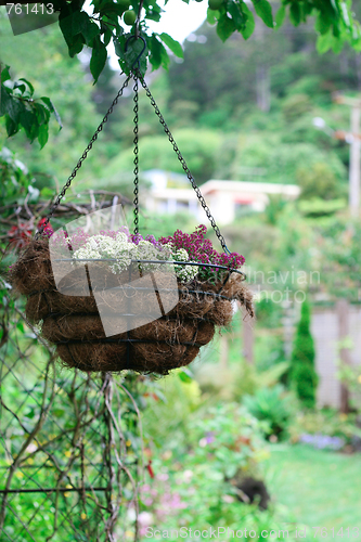 Image of Flowers.