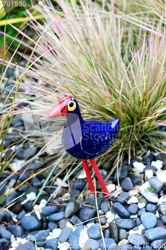 Image of NZ bird