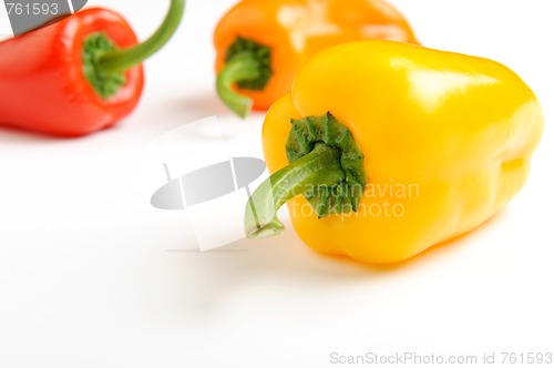 Image of Assorted Bell Peppers on white