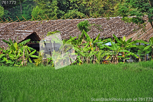 Image of Changmai, Thailand