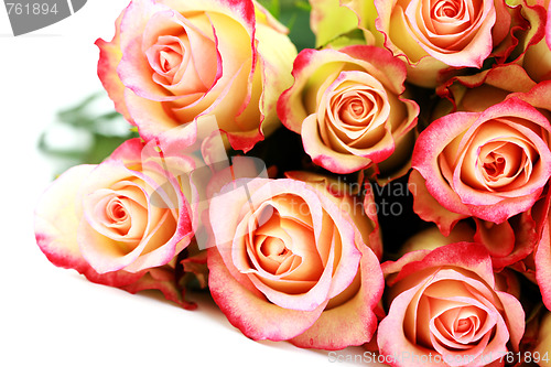 Image of bunch of roses