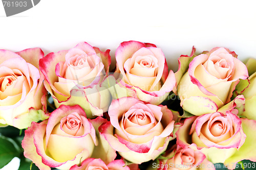 Image of bunch of roses