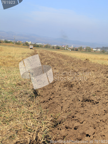 Image of Agriculture abstract