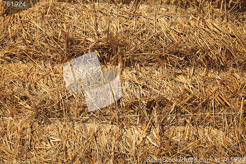 Image of Hay texture