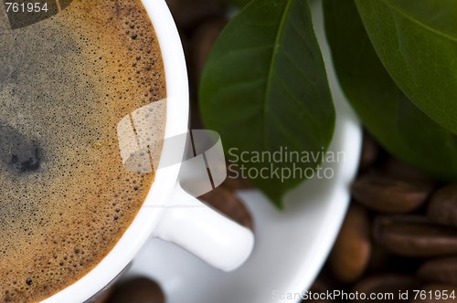 Image of fresh coffee with coffee branch