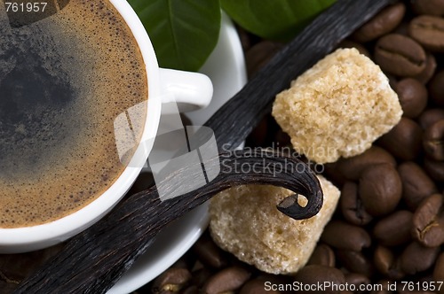 Image of aroma coffee with vanilla and coffee branch